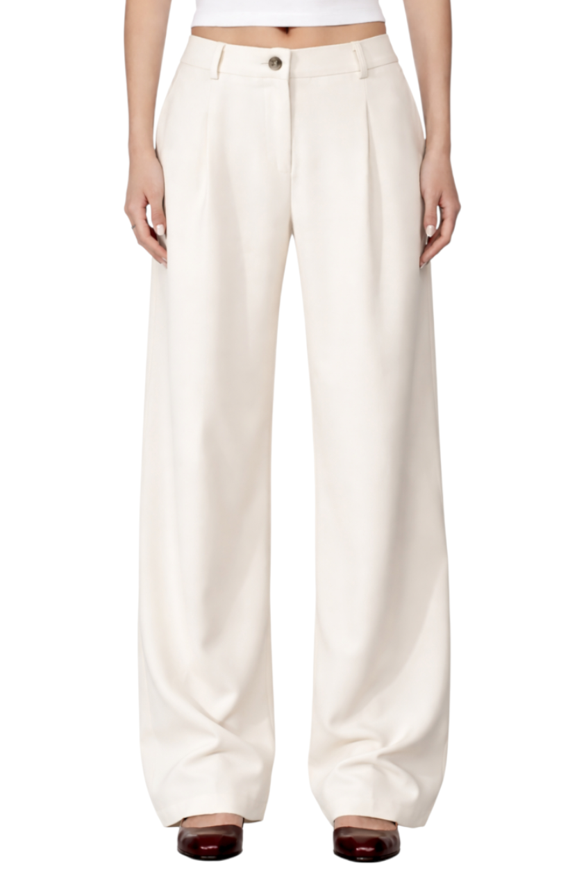 Wide Leg Pleated Pants