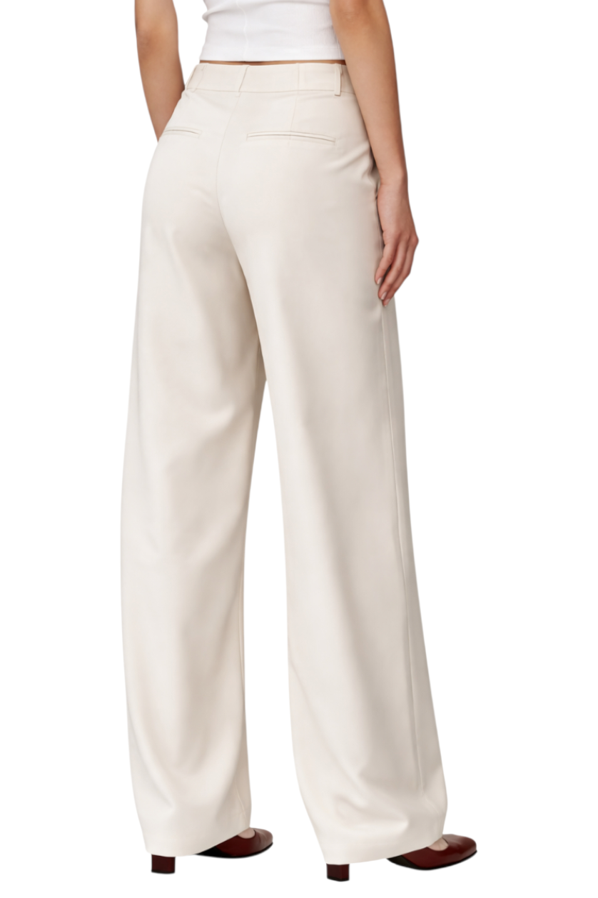 Wide Leg Pleated Pants
